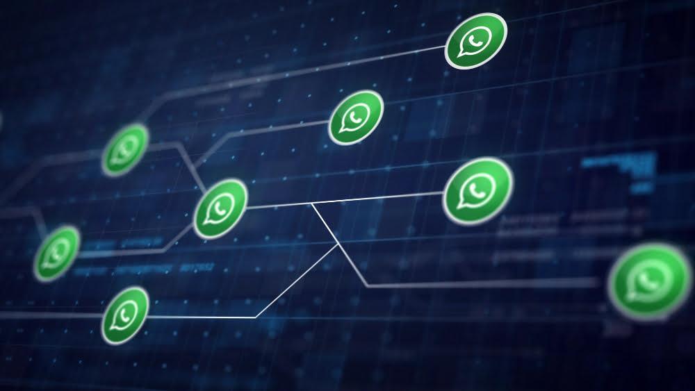 Whatsapp Business API Solution