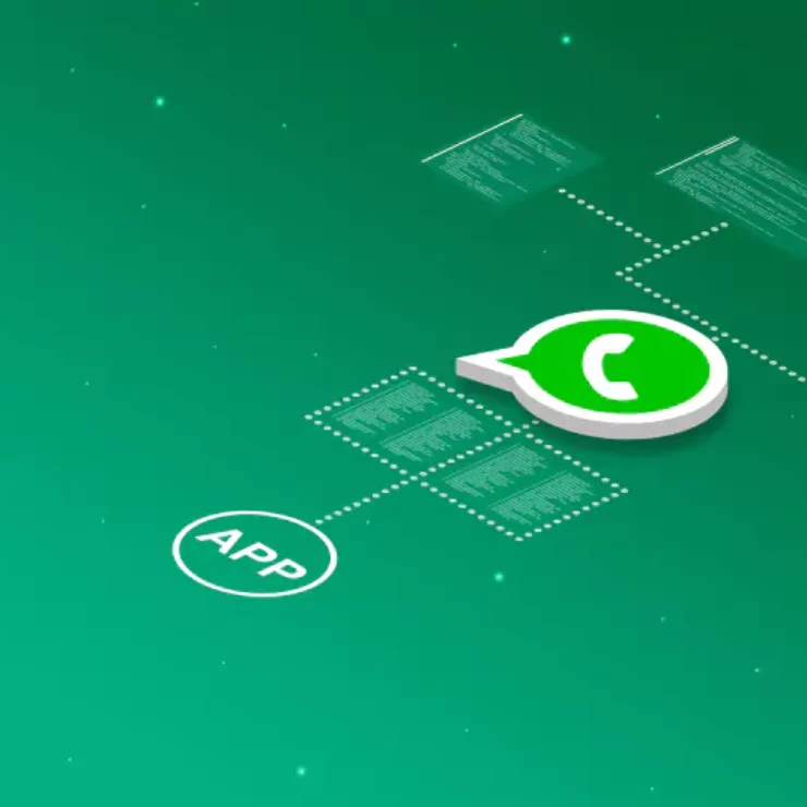 Understanding the Functioning of WhatsApp Business API Solution Provider