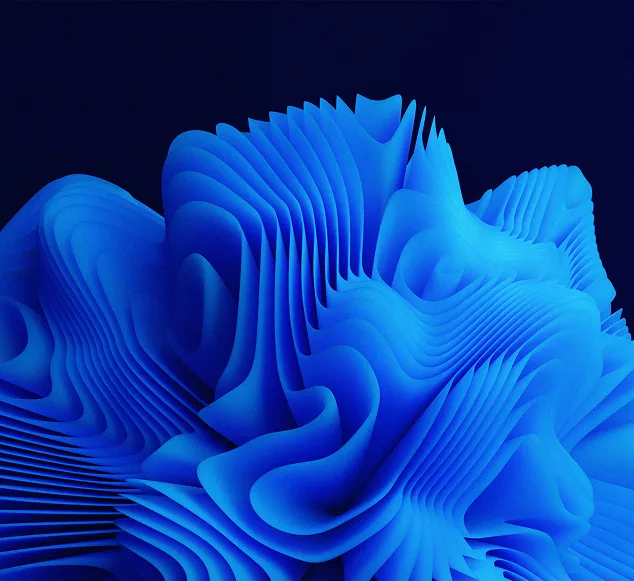 rectangle-15-695e6779c6b21