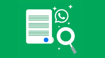 Everything You Need to Know About WhatsApp Business Solution Provider