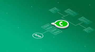 Understanding the Functioning of WhatsApp Business API Solution Provider